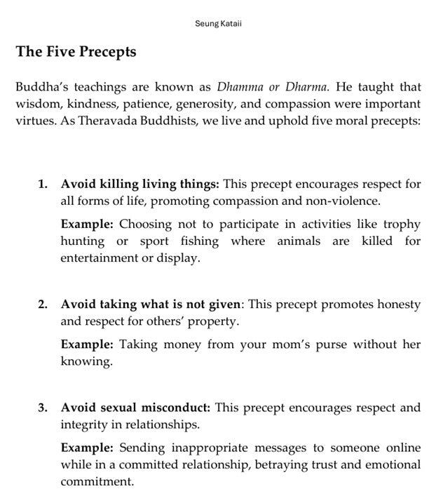 First Glimpse Reads: The Five Precepts